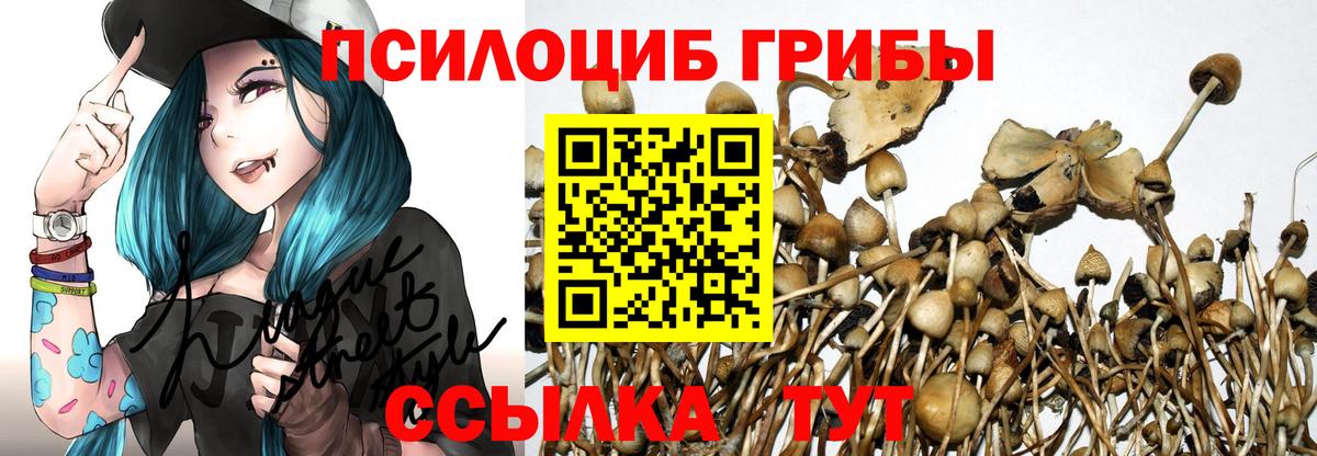 Галлюциногенные грибы Magic Shrooms Евпатория