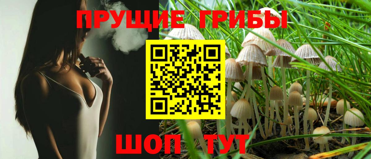 Евпатория  Псилоцибиновые грибы GOLDEN TEACHER  Псилоцибиновые грибы мицелий  Вход с VPN 